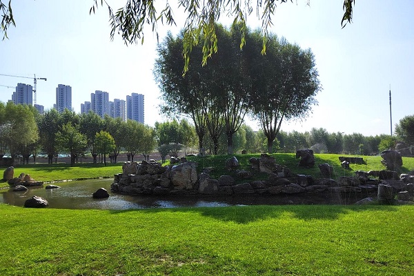这个炎天榆林最美的景物3.jpg