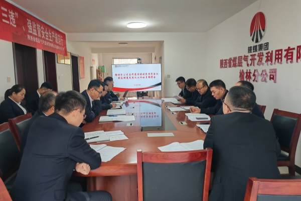 巡查意见安排.jpg